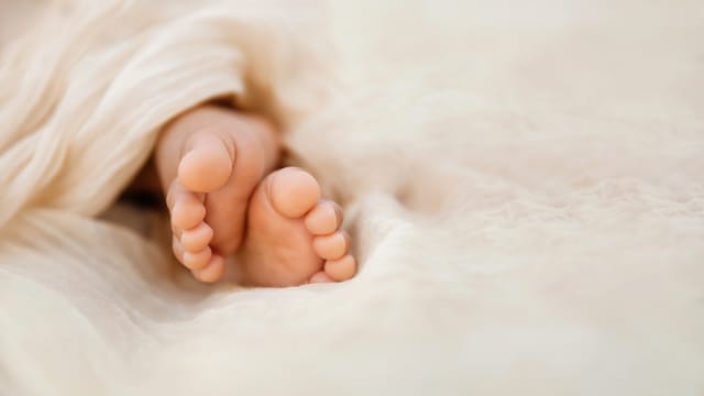 陷领养婴儿骗局 马国几对夫妇损失逾千元