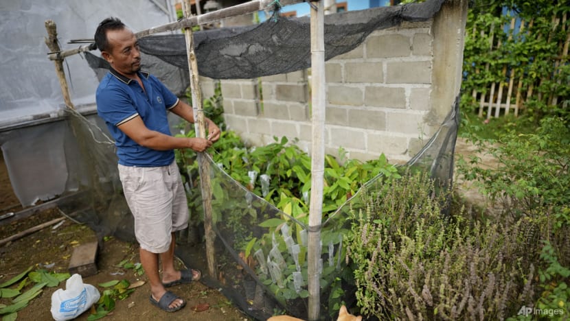 Indonesia's cocoa farmers work with businesses, NGOs to fight bitter impact of climate change Indonesia's cocoa farmers work with businesses, NGOs to fight bitter impact of climate change