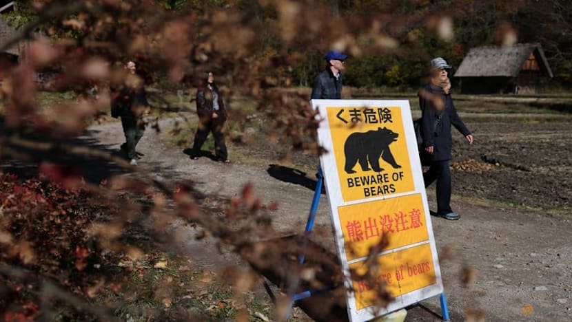 Japan grapples with growing bear threat amid record number of attacks