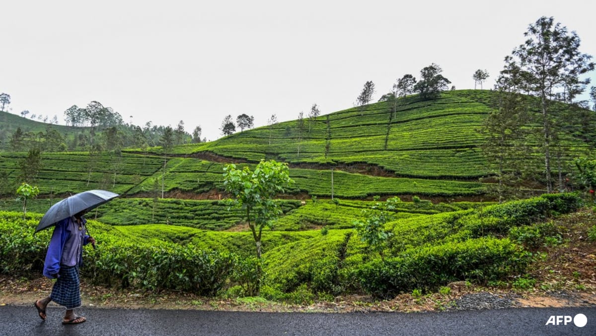 Sri Lanka floods, landslides kill at least 31