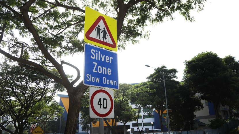 Penalties to be raised for reckless motorists at Silver, School Zones: Desmond Tan