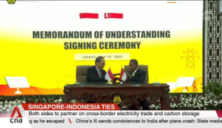 Singapore-Indonesia joint task force to study development of sustainable industrial zone