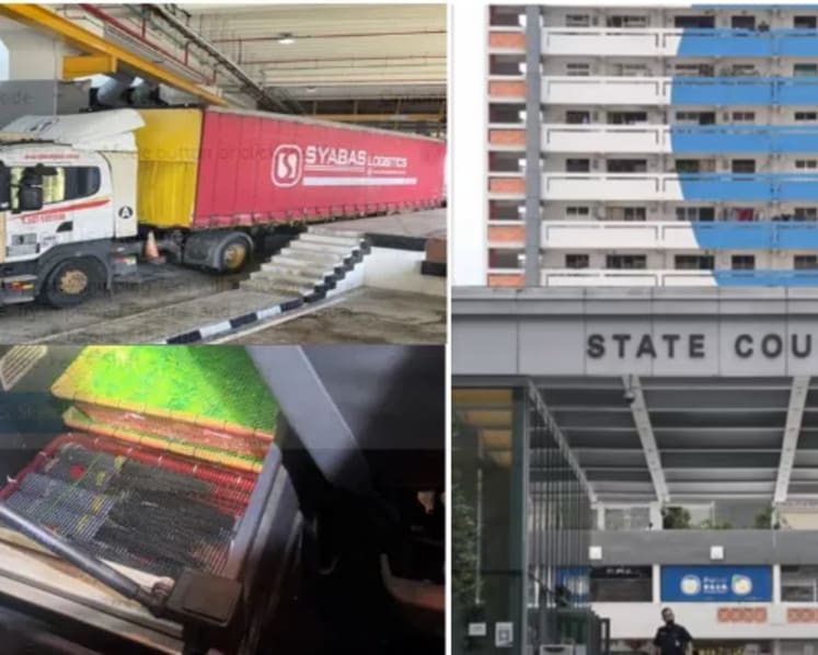 Pet shop owner linked to Singapore's largest bird-smuggling operation gets jail