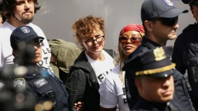 Bintang Hollywood Susan Sarandon, Hannah Einbinder ditahan atas tunjuk perasaan pro-Palestin