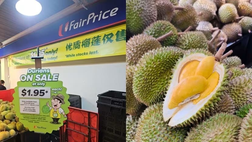 Gambar Pilihan Hari Ini
