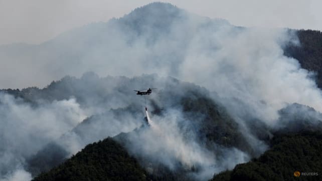 Global fire outbreaks hit record high as 'unprecedented' heat extremes loom, scientists say