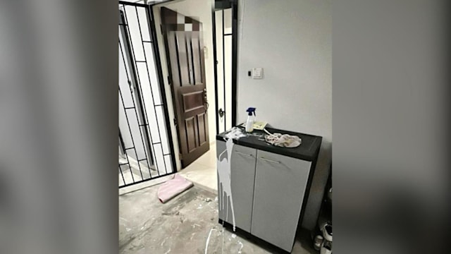 涉泼漆当大耳窿跑腿 33岁女子被捕