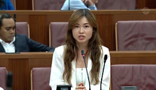 Debate on President’s speech: Tin Pei Ling makes a clarification