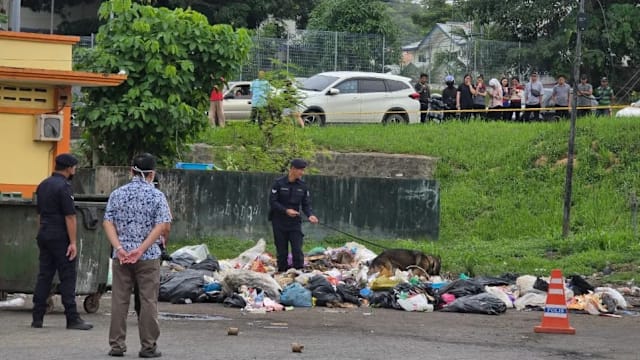 马国垃圾场惊现断臂 女子疑被肢解成七块
