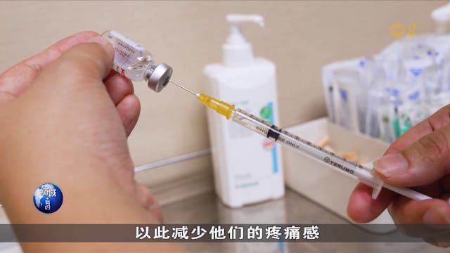 狮城有约 | 一年可安全接种多少疫苗？