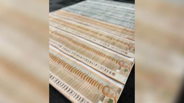 13男女涉嫌参与租房骗局被捕 赃款超过130万元 