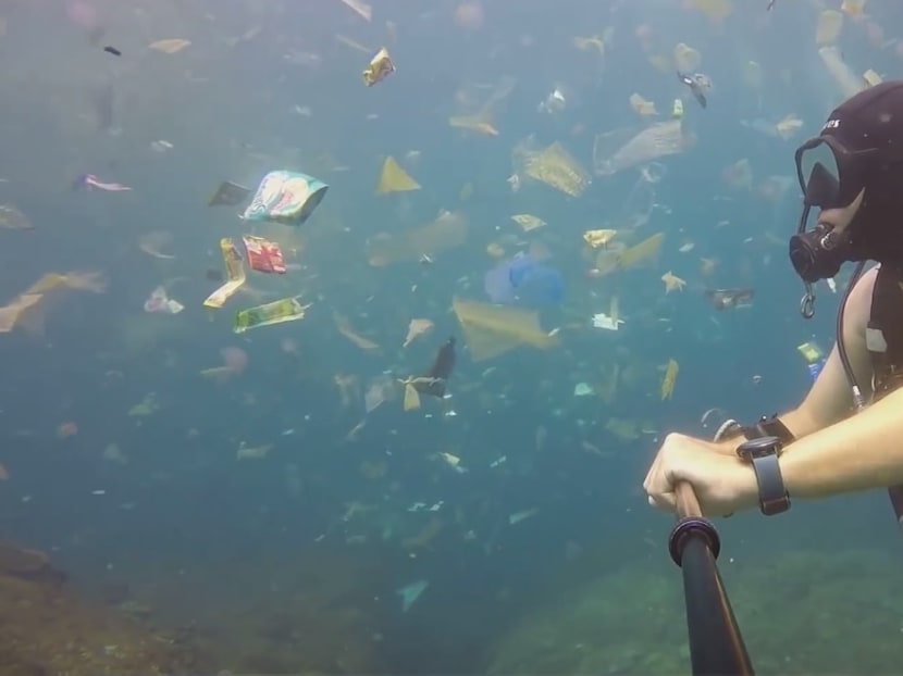 Stemming the tide of plastic pollution