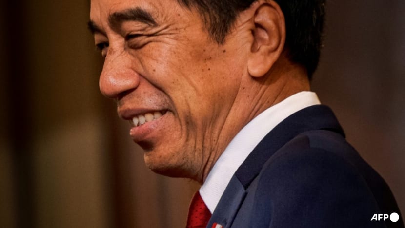 Indonesia’s Jokowi to relocate to new capital Nusantara ahead of Independence Day; reassures public of project’s progress Indonesia’s Jokowi to relocate to new capital Nusantara ahead of Independence Day; reassures public of project’s progress