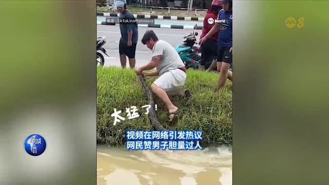 狮城有约 | 8分看视界：男子徒手抓巨蟒 老妇棺材里复活