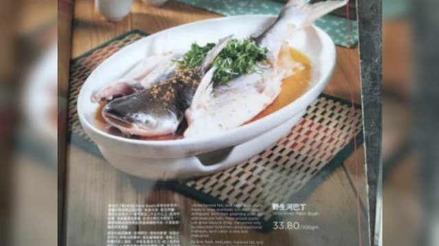 狮城客申诉吃902令吉贵鱼 马国当局要求餐馆交成本资料