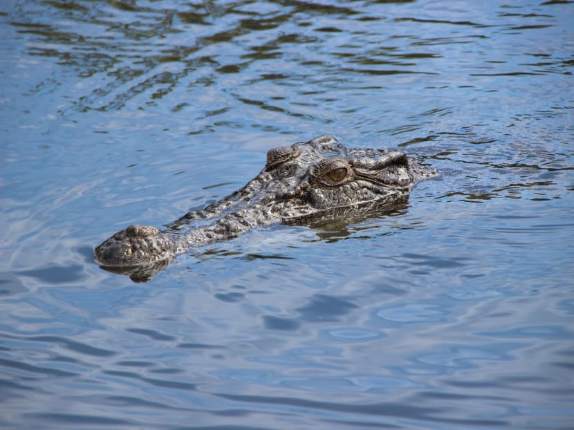 The naked man was found — covered in mud and mosquito bites calling for help — by two fishermen.