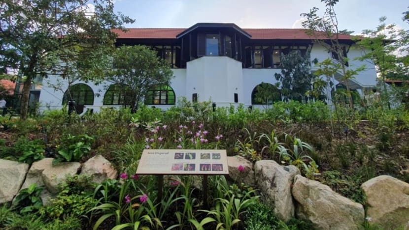 Singapore opens first seed bank to protect regional plant diversity against climate change