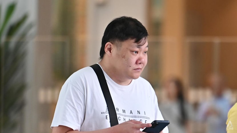 Man admits sending SM Lee doctored photo of Marina Bay Sands on fire as 'prank' Man admits sending SM Lee doctored photo of Marina Bay Sands on fire as 'prank'