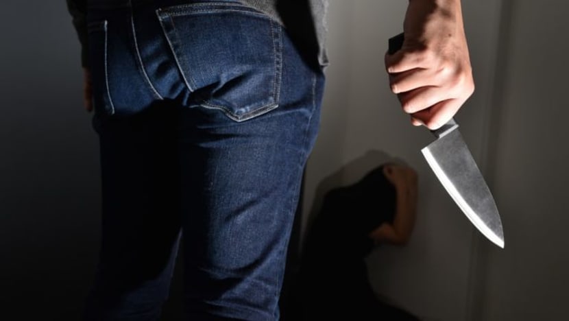 Wanita dipenjara, tikam bekas teman lelaki, anjing peliharaan terbiar hingga mati Wanita dipenjara, tikam bekas teman lelaki, anjing peliharaan terbiar hingga mati