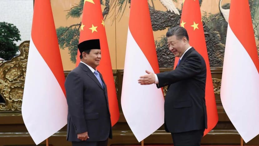 Bertemu Xi Jinping, Prabowo siap belajar dari Partai Komunis China