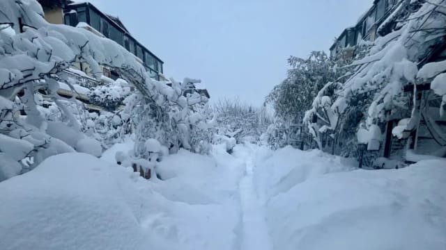 山东寒流来袭连日下大雪 威海积雪74公分破纪录