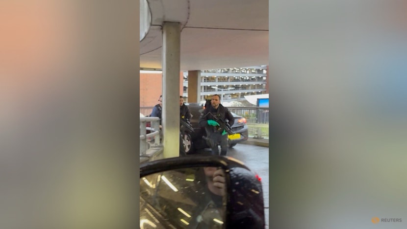 UK police arrest man after Heathrow Airport car park 'pepper spray' incident leaves 21 injured