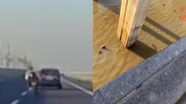 大桥上超车 摩托车骑士被抛飞坠湖身亡