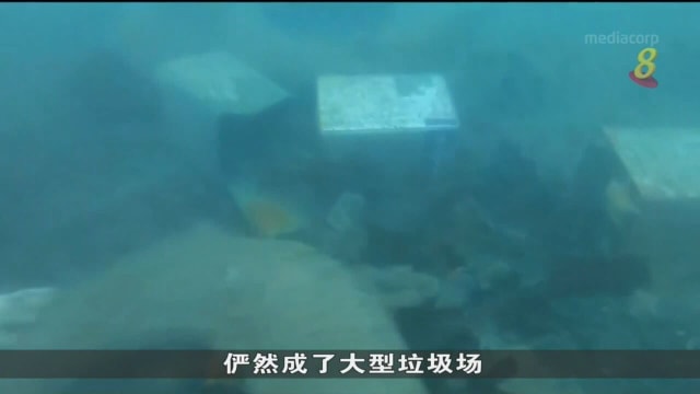 韩国首创海洋垃圾处理技术 分解过程产生氢气能源