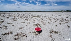 Climate change to blame for intensity of Europe heatwave: Scientists