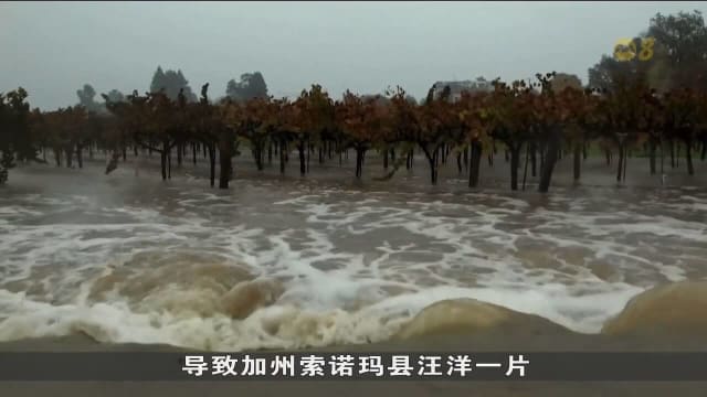 美国料迎第二股风暴 旧金山机场取消数十趟航班