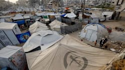 Related article image