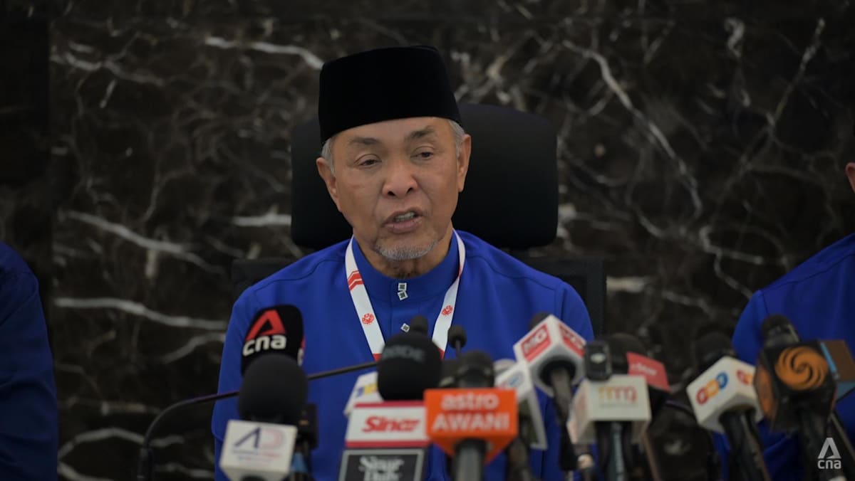 ‘Only Team DAP’: Loke’s rebuttal over alleged party factions draws pullback from UMNO chief Zahid