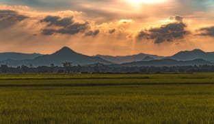 Adaptation and resilience: An investment opportunity in a changing world