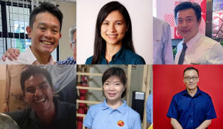 GE Newbies Watch: MDDI director among PAP fresh faces; WP, PPP and RDU work the ground
