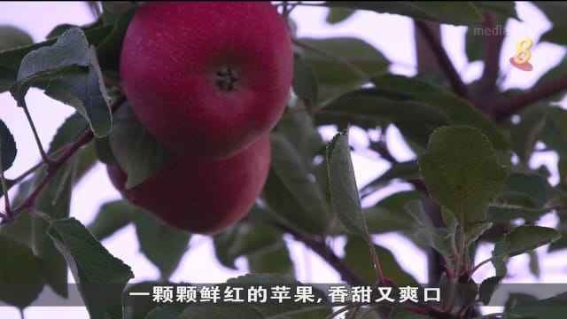 美国公司用科学和保鲜科技延长农产品保质期