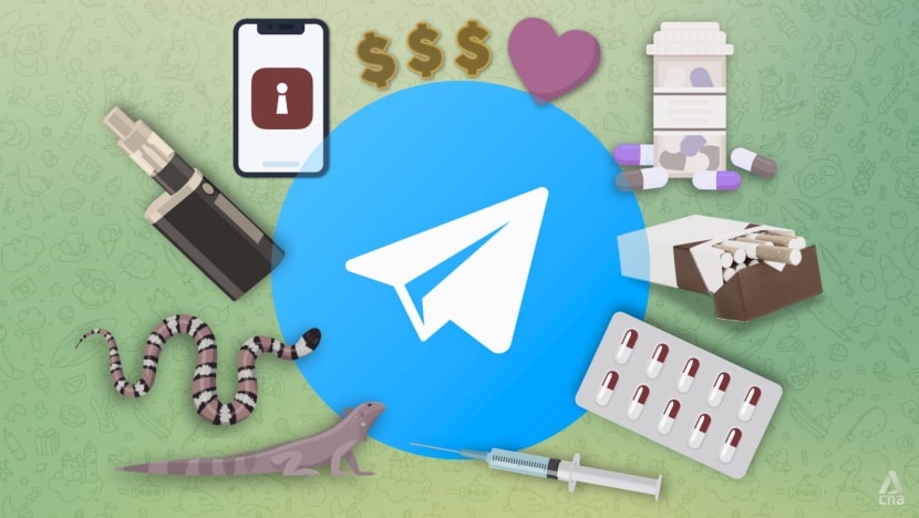 IN FOCUS: We reported 20 illegal groups to Telegram. Most were still online 2 weeks later IN FOCUS: We reported 20 illegal groups to Telegram. Most were still online 2 weeks later