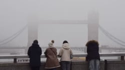 Related article image