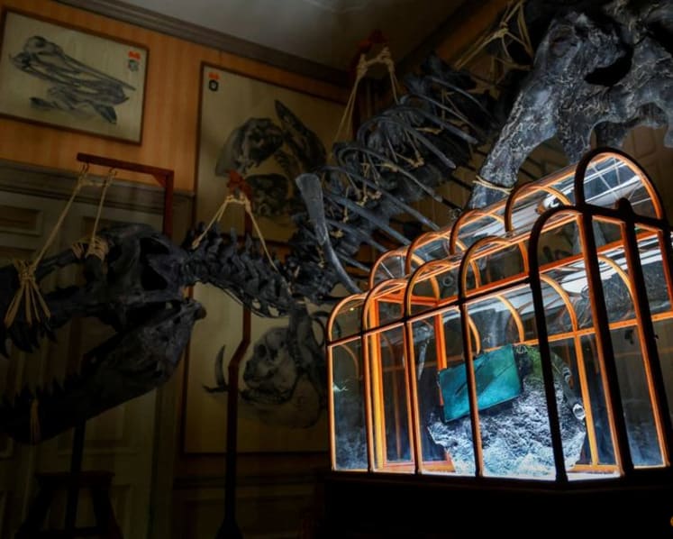 Dinosaur collagen used to create one-of-a-kind handbag