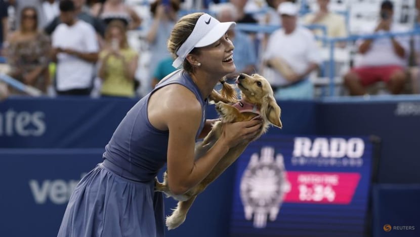 Kalinskaya beats Raducanu, De Minaur to face Davidovich Fokina in Washington final