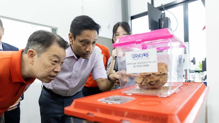 1,800 pest management workers to benefit from sustainable pay rises under Progressive Wage Model