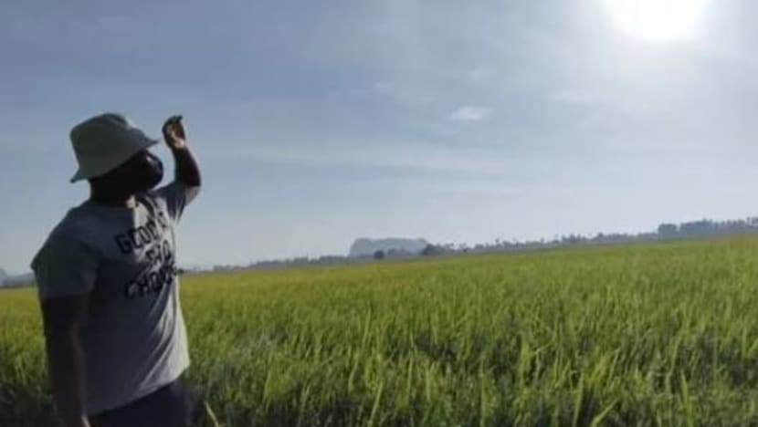 Langkawi, Pokok Sena alami cuaca panas tahap satu; catat suhu harian 35 hingga 37 darjah Celsius 3 hari berturut-turut Langkawi, Pokok Sena alami cuaca panas tahap satu; catat suhu harian 35 hingga 37 darjah Celsius 3 hari berturut-turut