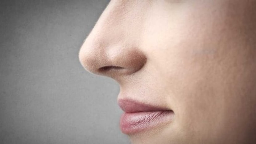 Kecil tapi penting. Ini 15 fakta menarik tentang hidung