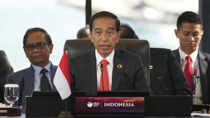 Indonesian President Joko Widodo to deliver address at Temasek sustainability event in Singapore Indonesian President Joko Widodo to deliver address at Temasek sustainability event in Singapore