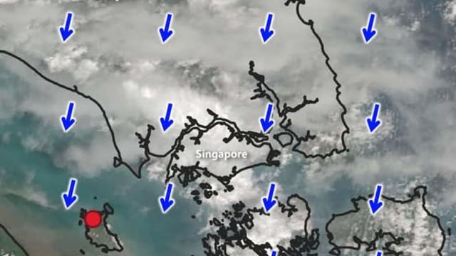 降雨天气料持续数天 有助抑制区域火点