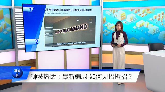 狮城有约 | 宣导做足仍频频受骗 我国还能如何防诈？