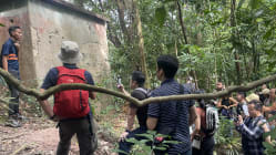 Related article image