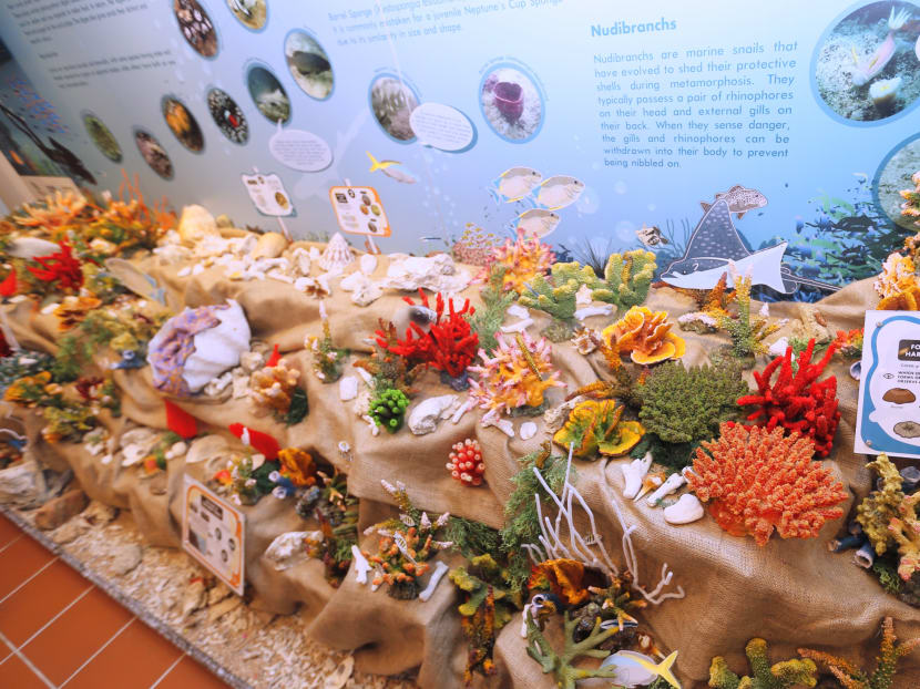 Sisters’ Island Park Public Gallery opens