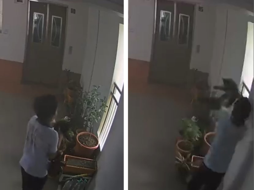 Screenshots from a video on Facebook, in which a boy allegedly threw a cat off a public housing block. Screenshots from a video on Facebook, in which a boy allegedly threw a cat off a public housing block.