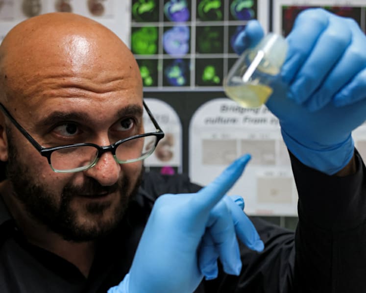 Commentary: World’s first ‘synthetic embryo’ - why this research is more important than you think