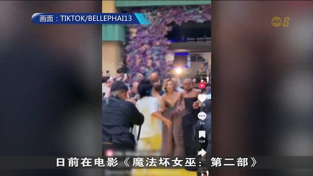 跨栏杆扑向女星 澳男认公共滋扰判监九天